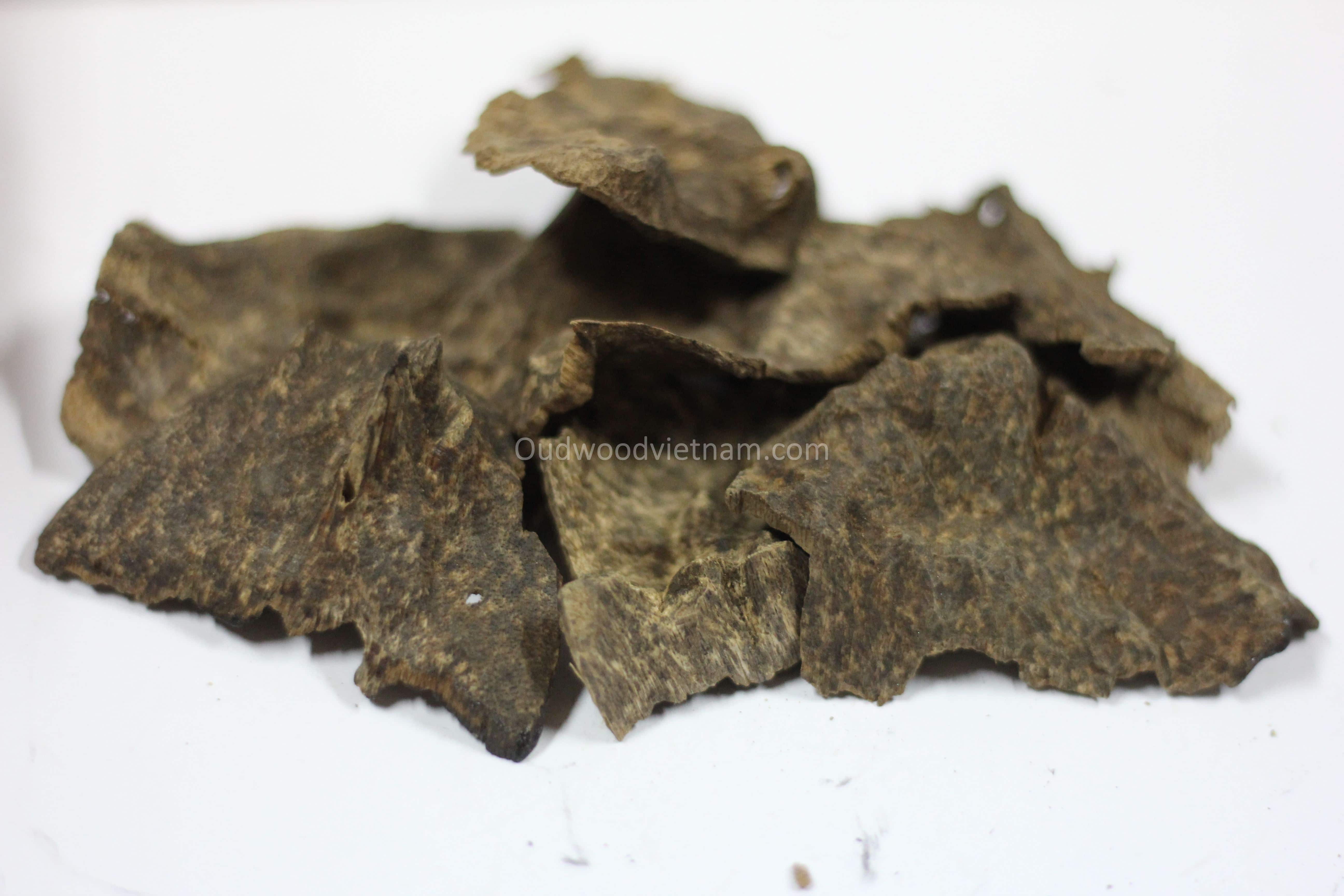 10g Genuine Natural Vietnamese Nha Trang oud chips agarwood incense 