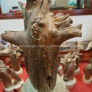 Rare Fragrance Agarwood Aloeswood Handy Sculpture Art Colletion Fengshui 6