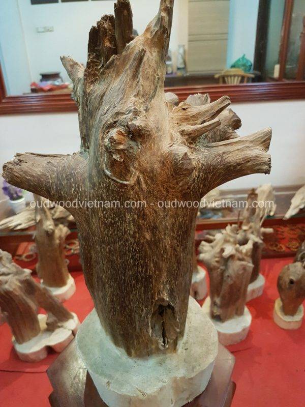 Rare Fragrance Agarwood Aloeswood Handy Sculpture Art Colletion Fengshui 6