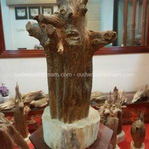 Rare Fragrance Agarwood Aloeswood Handy Sculpture Art Colletion Fengshui 6