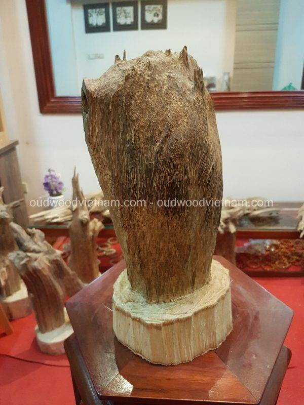 Rare Fragrance Agarwood Aloeswood Handy Sculpture Art Colletion Fengshui 2