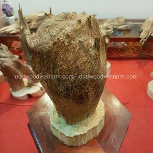 Rare Fragrance Agarwood Aloeswood Handy Sculpture Art Colletion Fengshui 2