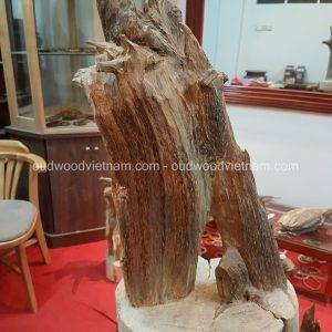 Rare Fragrance Agarwood Aloeswood Handy Sculpture Art Colletion Fengshui 3