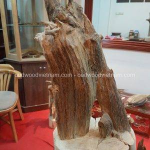 Rare Fragrance Agarwood Aloeswood Handy Sculpture Art Colletion Fengshui 3
