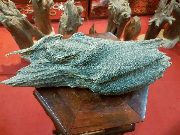 Rare Fragrance Agarwood Aloeswood Handy Sculpture Art Colletion Fengshui 4
