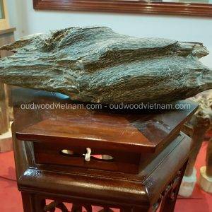 Rare Fragrance Agarwood Aloeswood Handy Sculpture Art Colletion Fengshui 4