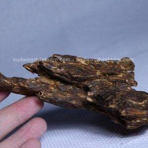 Viet Nam Nha Trang Sinkable Ky Nam, Ki nam, Kyara, Qi nan, Calambac, 沉香木奇楠 - Purple Ky Nam