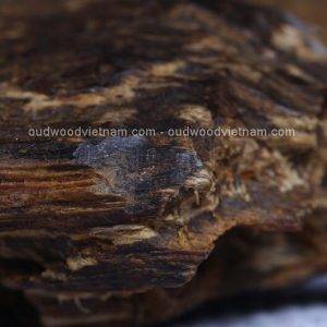 Viet Nam Nha Trang Sinkable Ky Nam, Ki nam, Kyara, Qi nan, Calambac, 沉香木奇楠 - Purple Ky Nam