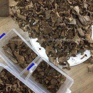 Quang Binh Oud Wood Agarwood Chips | Grade A