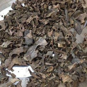 Quang Binh Oud Wood Agarwood Chips | Grade A