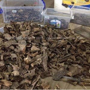Quang Binh Oud Wood Agarwood Chips | Grade A