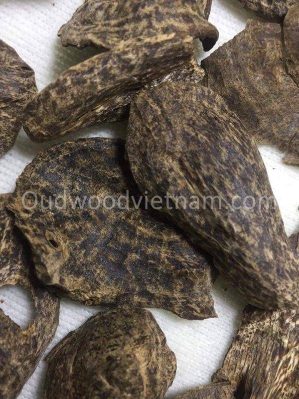 Agar wood Chips Oud Chips Incense Aroma | Natural Wild and Rare Agarwood Chips from Oudwood Vietnam | Pure Material Grade A++ (Chop Mu A)