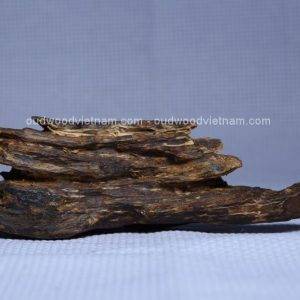 Viet Nam Nha Trang Sinkable Ky Nam, Ki nam, Kyara, Qi nan, Calambac, 沉香木奇楠 - Purple Ky Nam