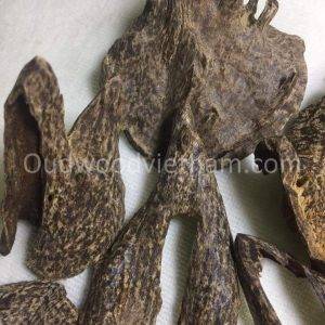 Khanh Hoa Oud Wood Agarwood Chip | Chop Mu A | Grade A++
