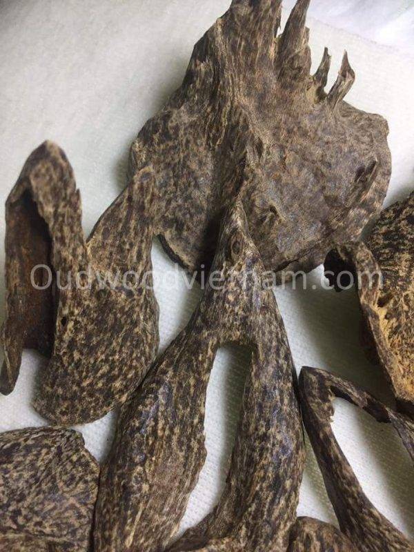 Agarwood Chips Oud Chips Incense Aroma | Natural Wild and Rare Agarwood Chips from Oudwood Vietnam | Pure Material Grade A++ (Chop Mu A)