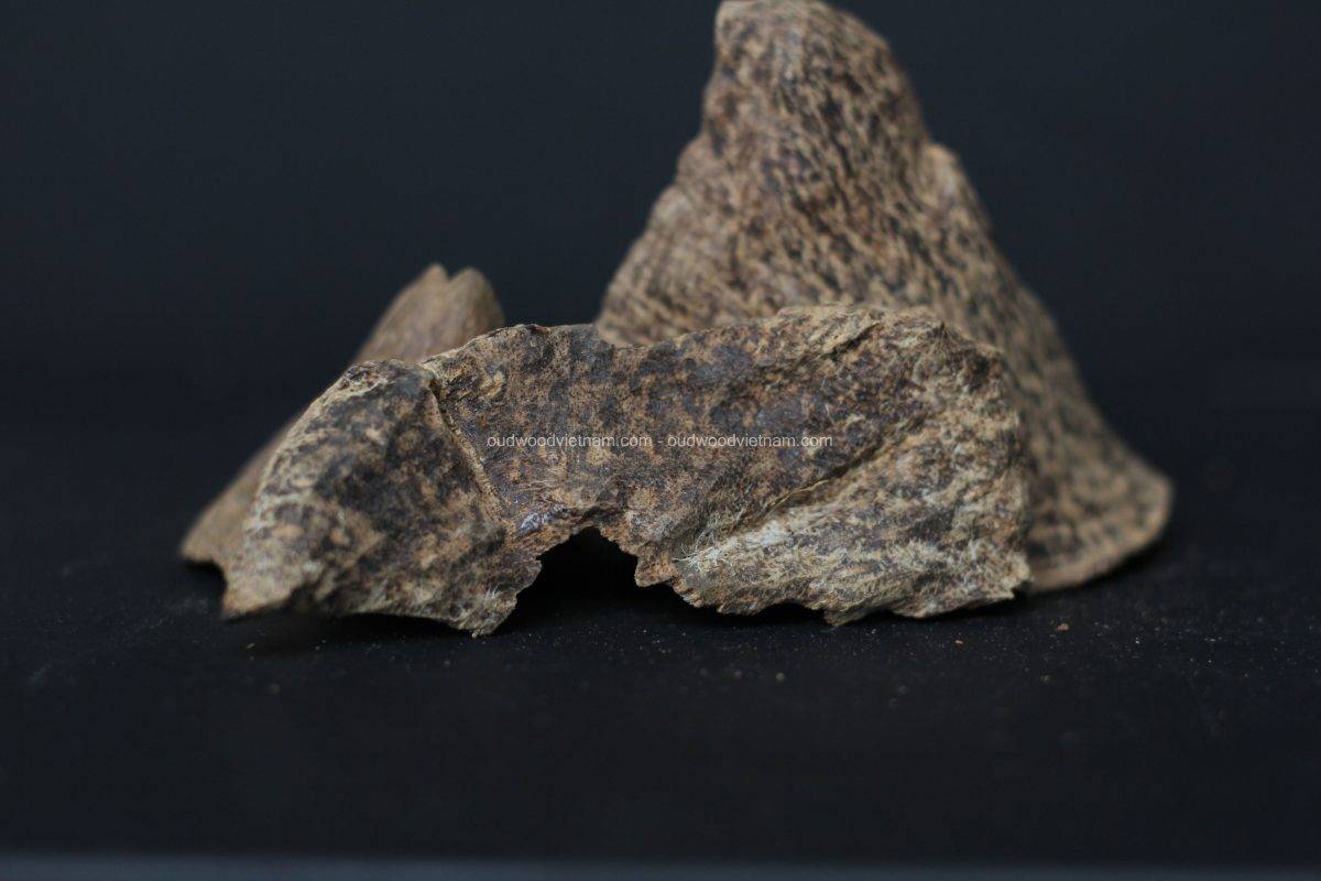 Vietnam oud wood chips agarwood OUD WOOD AGARWOOD KINAM