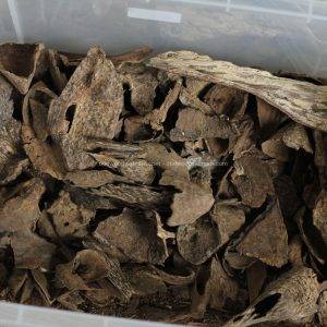 Nha Trang Oud Wood Agarwood Chip | Doi De | Grade A+