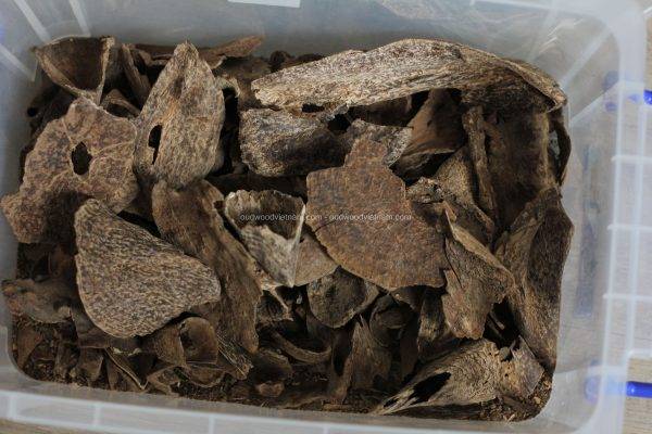 Agarwood Chips Oud Chips Incense Aroma | Natural Wild and Rare Agarwood Chips from Oudwood Vietnam | Pure Material Grade A++ (Doi De)