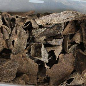 Nha Trang Oud Wood Agarwood Chip | Doi De | Grade A+