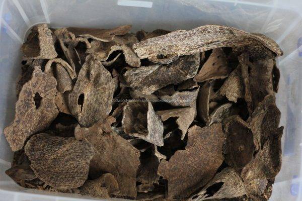 Agarwood Chips Oud Chips Incense Aroma | Natural Wild and Rare Agarwood Chips from Oudwood Vietnam | Pure Material Grade A++ (Doi De)