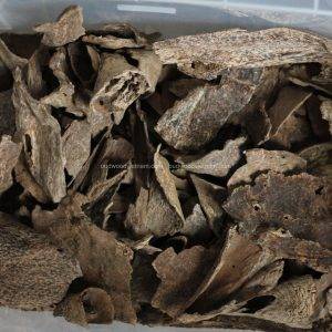 Nha Trang Oud Wood Agarwood Chip | Doi De | Grade A+