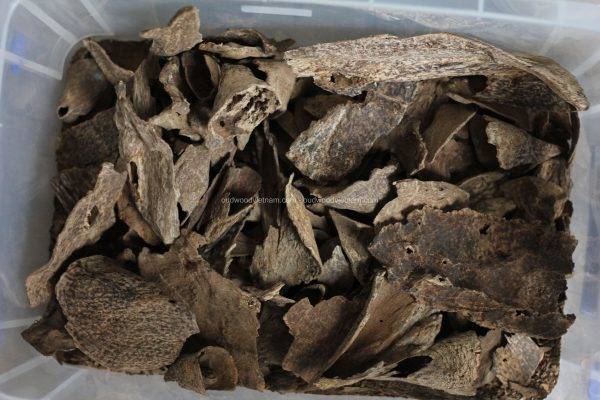 Agarwood Chips Oud Chips Incense Aroma | Natural Wild and Rare Agarwood Chips from Oudwood Vietnam | Pure Material Grade A++ (Doi De)
