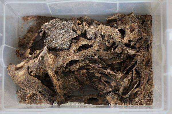 Agarwood Chips Oud Chips Incense Aroma | Natural Wild and Rare Agarwood Chips from Oudwood Vietnam | Pure Material Grade A++ (Kien Rung)