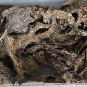 Nha Trang Oud Wood Agarwood Chips Chips | Kien Rung | Grade A