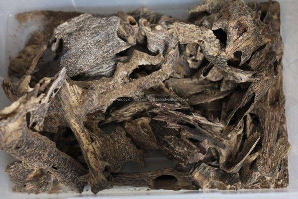 Agarwood Chips Oud Chips Incense Aroma | Natural Wild and Rare Agarwood Chips from Oudwood Vietnam | Pure Material Grade A++ (Kien Rung)