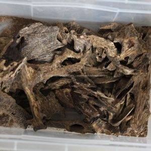 Nha Trang Oud Wood Agarwood Chips Chips | Kien Rung | Grade A