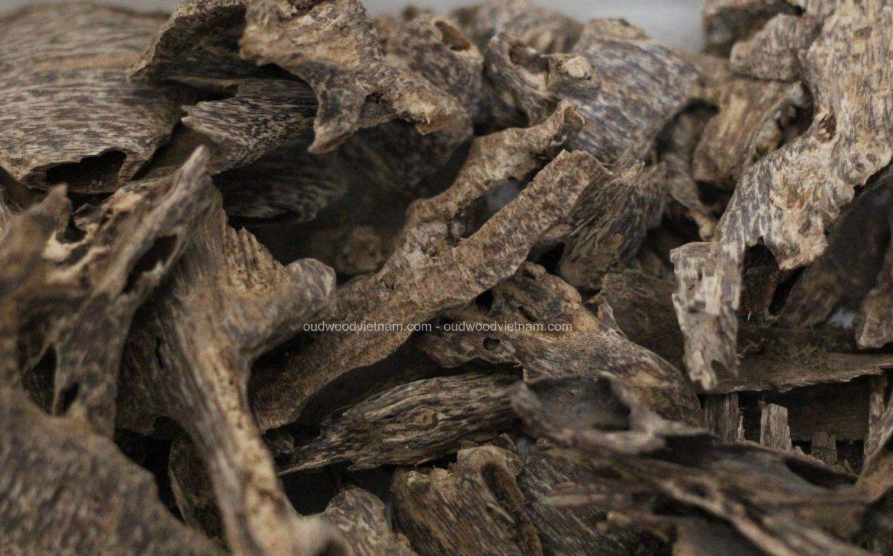 Nha Trang Wild Oud Wood Agarwood Chip OUD WOOD AGARWOOD KINAM