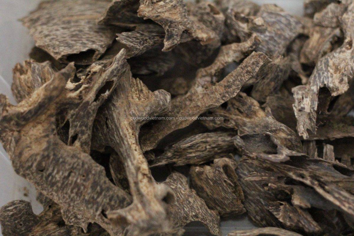 Nha Trang Wild Oud Wood Agarwood Chip OUD WOOD AGARWOOD KINAM