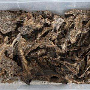 Nha Trang Oud Wood Agarwood Chips Chips | Kien Rung | Grade A