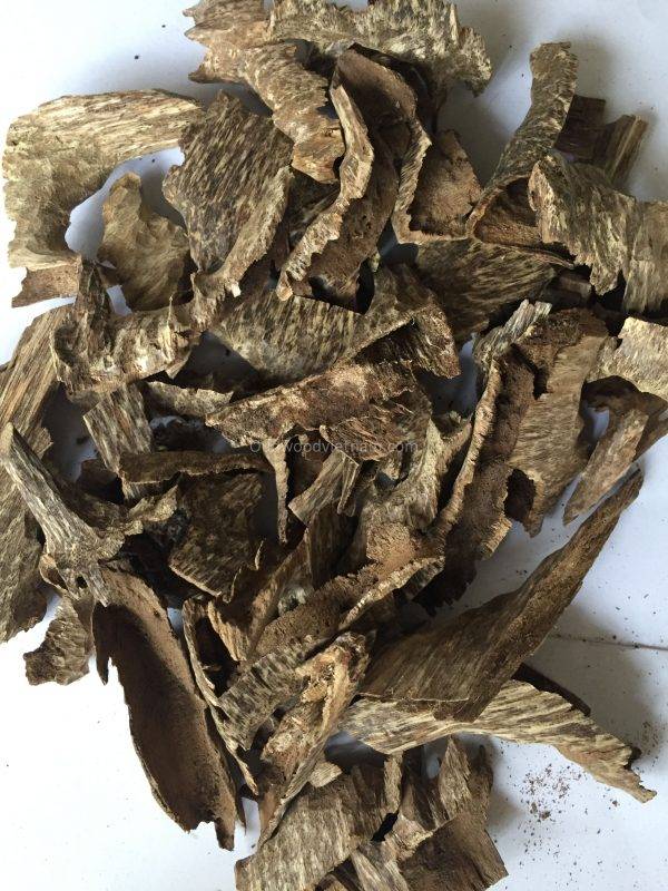 Agarwood Chips Oud Chips Incense Aroma | Natural Wild and Rare Agarwood Chips from Oudwood Vietnam | Pure Material Grade A++ (Khoan Phuc Trach)
