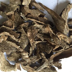 Phuc Trach Oud Wood Agarwood Chip | Grade A