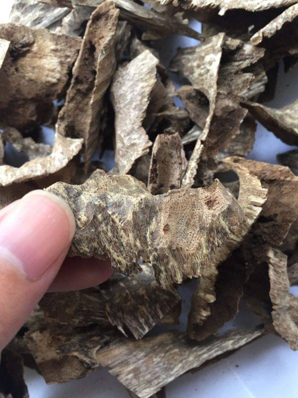 Agarwood Chips Oud Chips Incense Aroma | Natural Wild and Rare Agarwood Chips from Oudwood Vietnam | Pure Material Grade A++ (Khoan Phuc Trach)