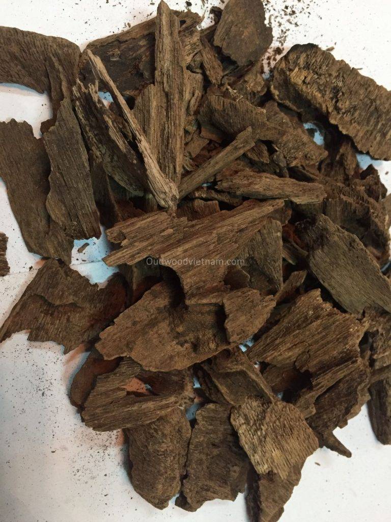 Vietnam best oud wood chips wild agarwood - OUD WOOD AGARWOOD KINAM