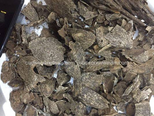 Wild Oud Wood Chips Agarwood Chips