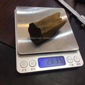 Viet Nam Nha Trang Sinkable Ky Nam, Ki nam, Kyara, Qi nan, Calambac, 沉香木奇楠 - Soil Ky Nam