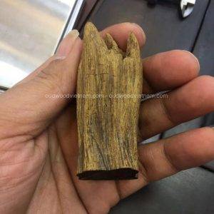 Viet Nam Nha Trang Sinkable Ky Nam, Ki nam, Kyara, Qi nan, Calambac, 沉香木奇楠 - Soil Ky Nam