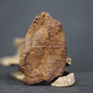 Viet Nam Nha Trang Sinkable Ky Nam, Ki nam, Kyara, Qi nan, Calambac, 沉香木奇楠 - Pu Xian Buddha