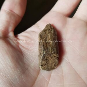 Viet Nam Nha Trang Sinkable Ky Nam, Ki nam, Kyara, Qi nan, Calambac, 沉香木奇楠 - Pendant Ky Nam