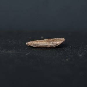 Viet Nam Nha Trang Sinkable Ky Nam, Ki nam, Kyara, Qi nan, Calambac, 沉香木奇楠 - Pendant Ky Nam