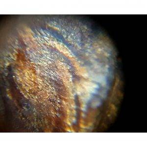 Viet Nam Nha Trang Sinkable Ky Nam, Ki nam, Kyara, Qi nan, Calambac, 沉香木奇楠, Kinam Oud - 奇楠 - Calambac-Qi Nan-Agarwood