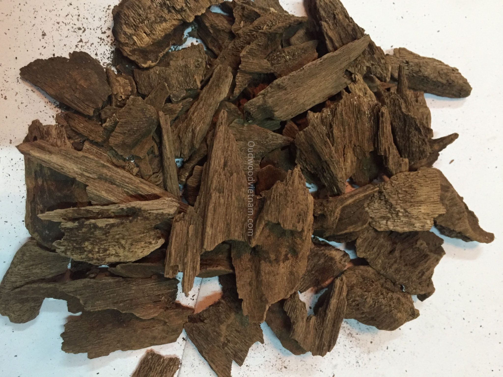 Oud Wood Or Agarwood What Is It OUD WOOD AGARWOOD KINAM