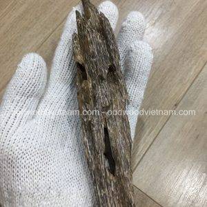 Mini Wild Fragrance Agarwood Aloeswood Handy Sculpture Art Colletion From Khanh Hoa Forest