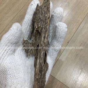 Mini Wild Fragrance Agarwood Aloeswood Handy Sculpture Art Colletion From Khanh Hoa Forest
