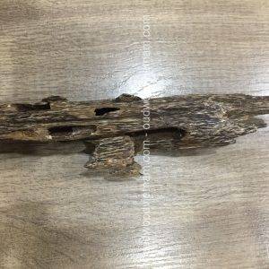 Mini Wild Fragrance Agarwood Aloeswood Handy Sculpture Art Colletion From Khanh Hoa Forest