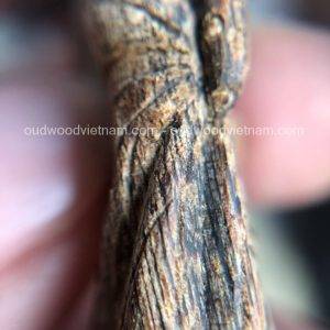 Viet Nam Phu Yen Sinkable Yellow Kinam, Ky Nam, Ki nam, Kyara, Qi nan, Calambac, 沉香木奇楠 - Buddha