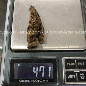 Viet Nam Phu Yen Sinkable Yellow Kinam, Ky Nam, Ki nam, Kyara, Qi nan, Calambac, 沉香木奇楠